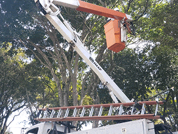 curso de operador de cesto aereo em minas gerais